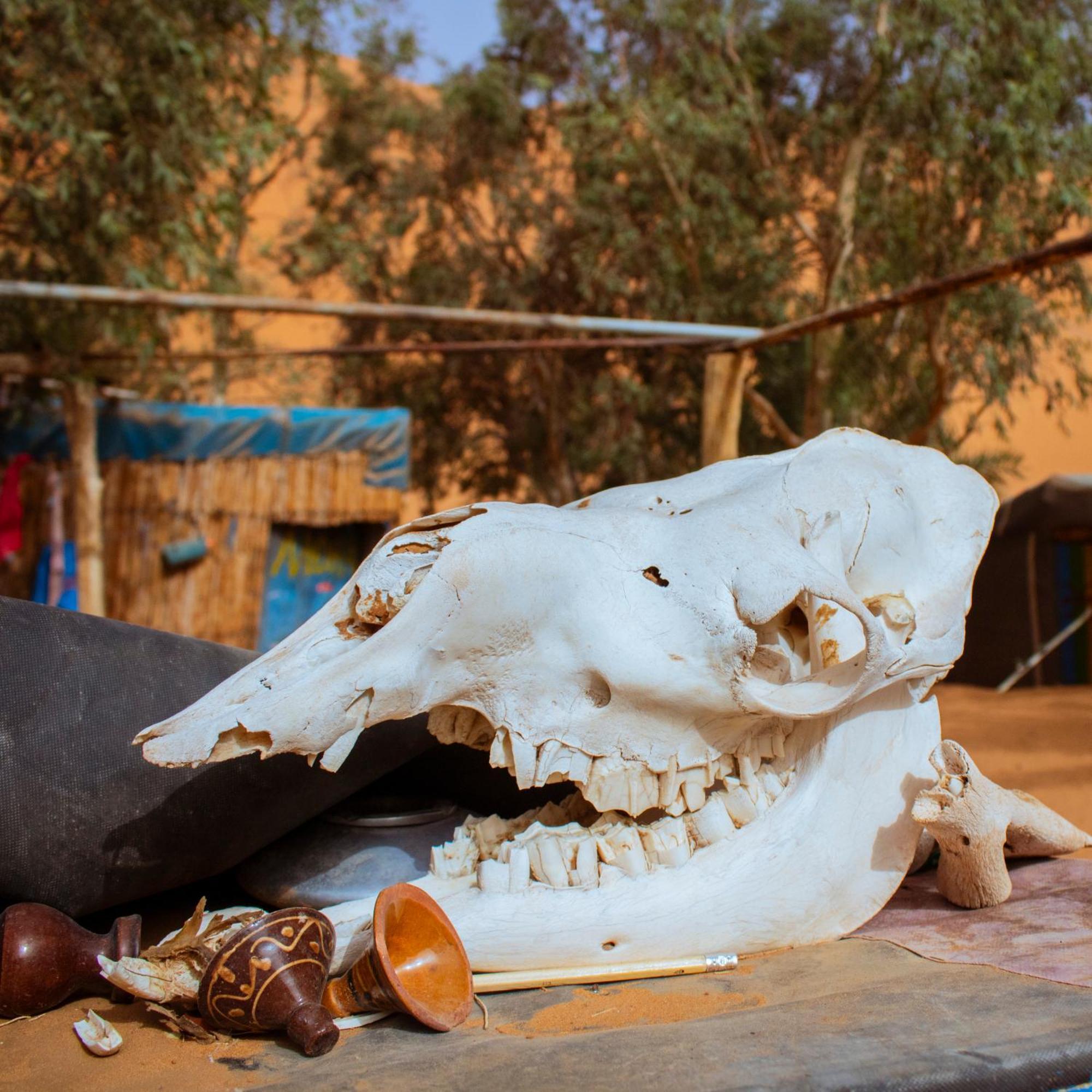 Oasis Desert Camp Obira Мерцуга Екстериор снимка